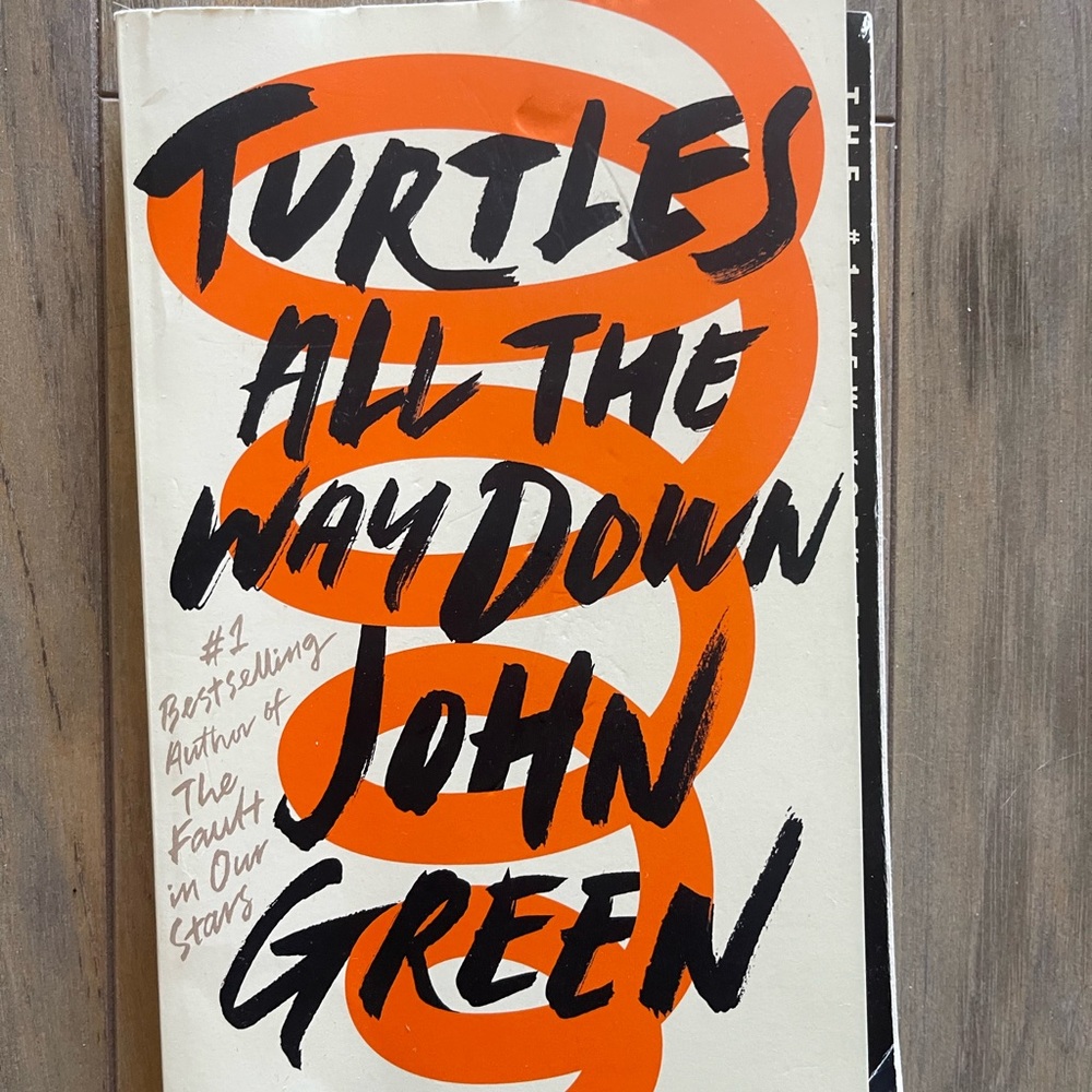 Turtles All the Way Down Book